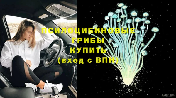 тгк Алексеевка