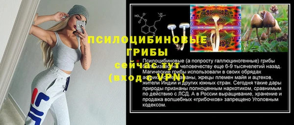 тгк Алексеевка