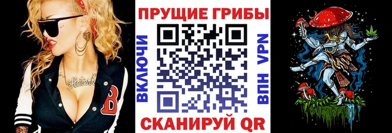Псилоцибиновые грибы GOLDEN TEACHER  Чердынь 